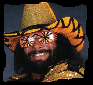 Macho Man Champion Select